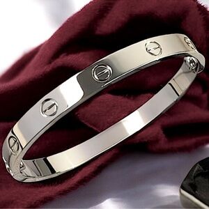 Stainless Steel Platinum Plated Bangle Bracelet Without Stones